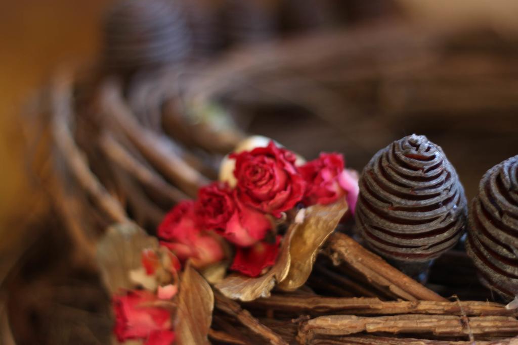 Rosa Canina Superior سانكت أنتون ام ارلبرغ المظهر الخارجي الصورة